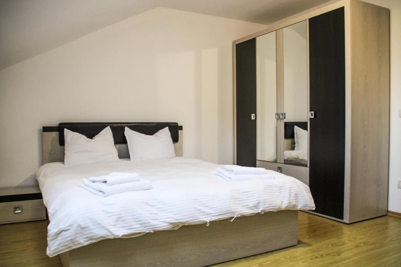 Hotel Corina Borşa エクステリア 写真