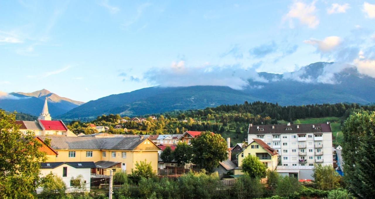 Hotel Corina Borşa エクステリア 写真