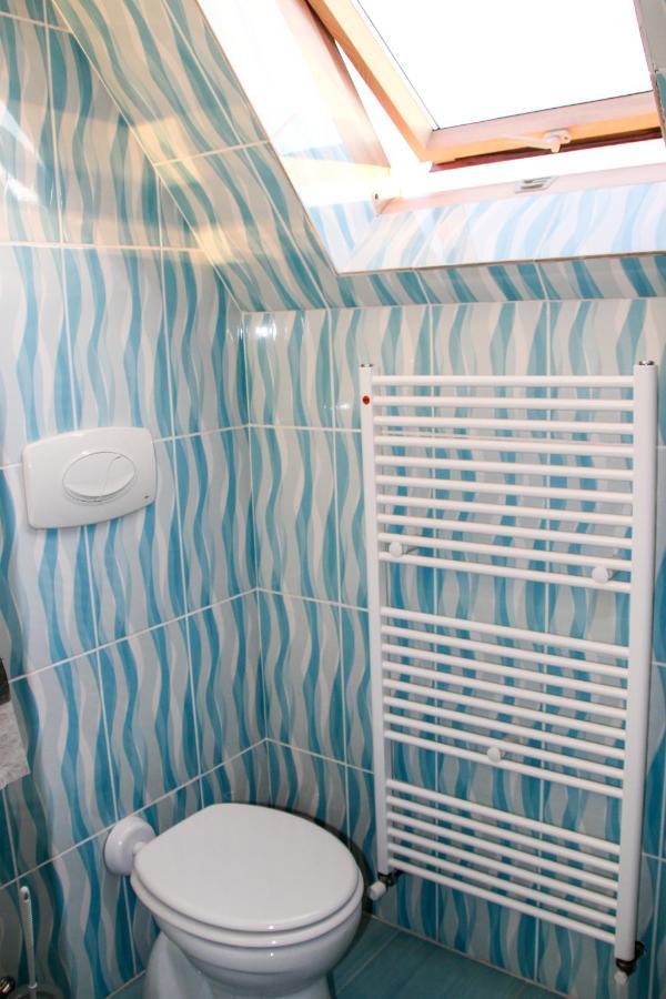 Hotel Corina Borşa エクステリア 写真