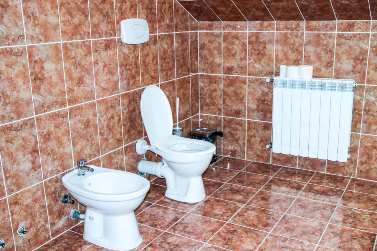 Hotel Corina Borşa エクステリア 写真