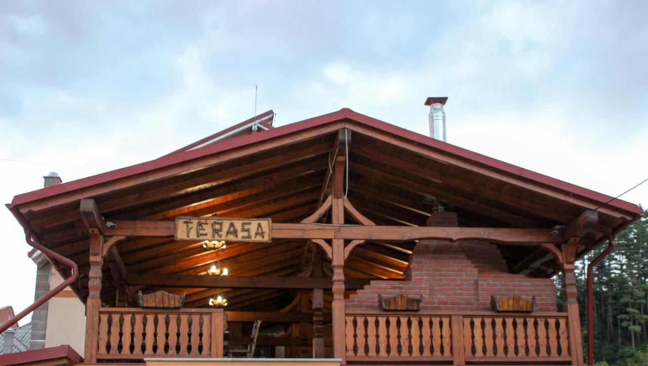 Hotel Corina Borşa エクステリア 写真